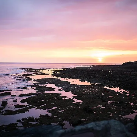 Lejlighed Port Bourgenay - Maeva - 2 Pieces 5 Personnes - Selection Mae-9029 Talmont-Saint-Hilaire